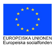 EU - Europeriska unionen, Europeiska socialfonden